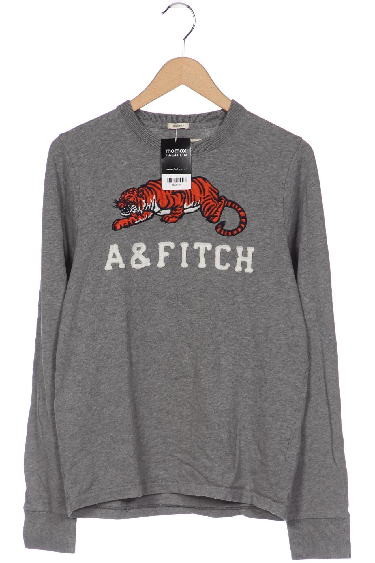 

Abercrombie & Fitch Herren Sweatshirt, grau