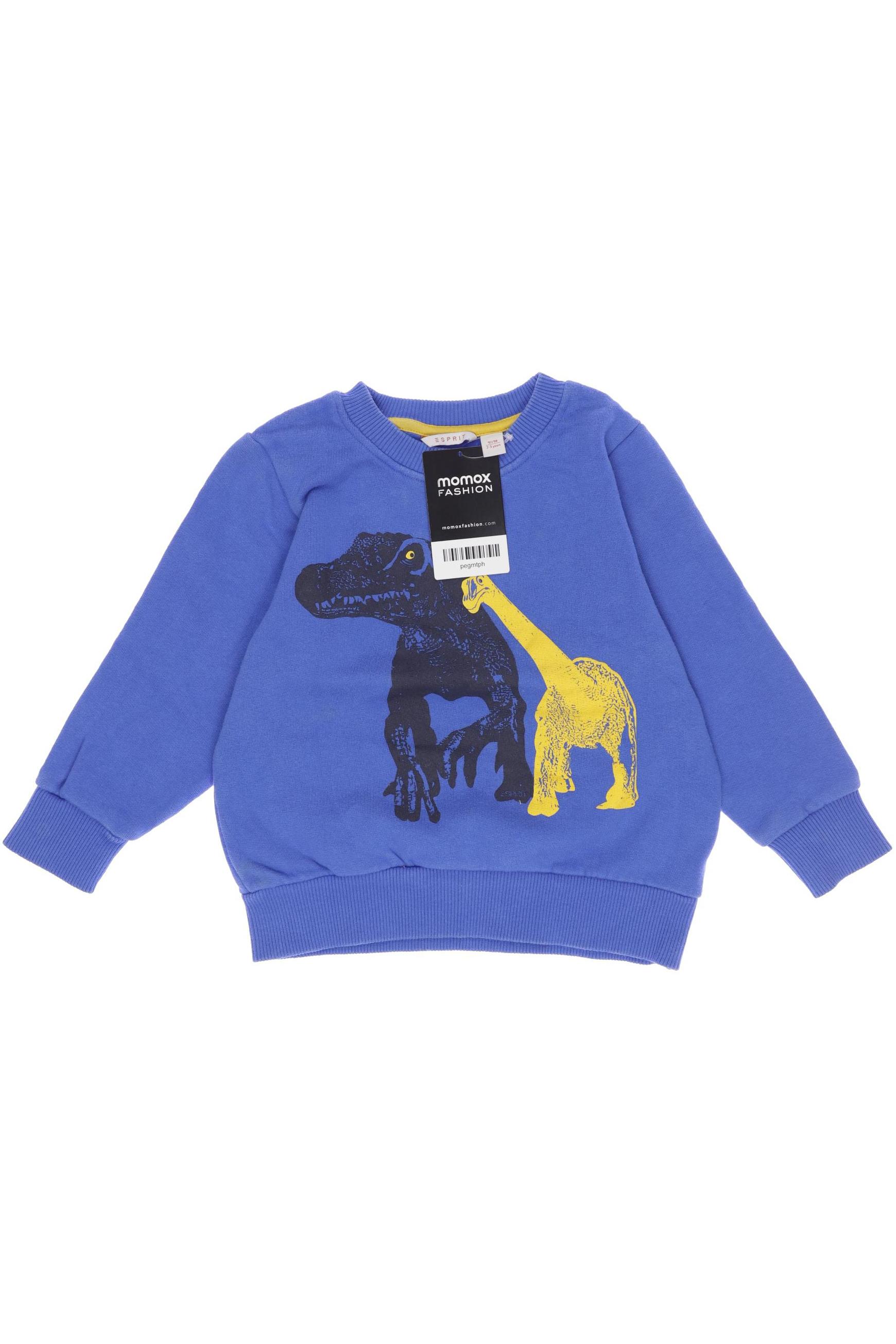 

Esprit Jungen Hoodies & Sweater, blau