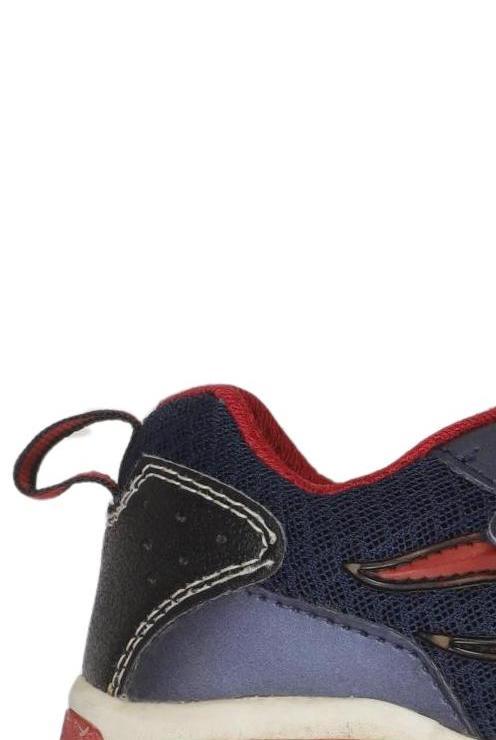 Thumbnail - Geox Jungen Kinderschuhe, mehrfarbig, Gr. 30