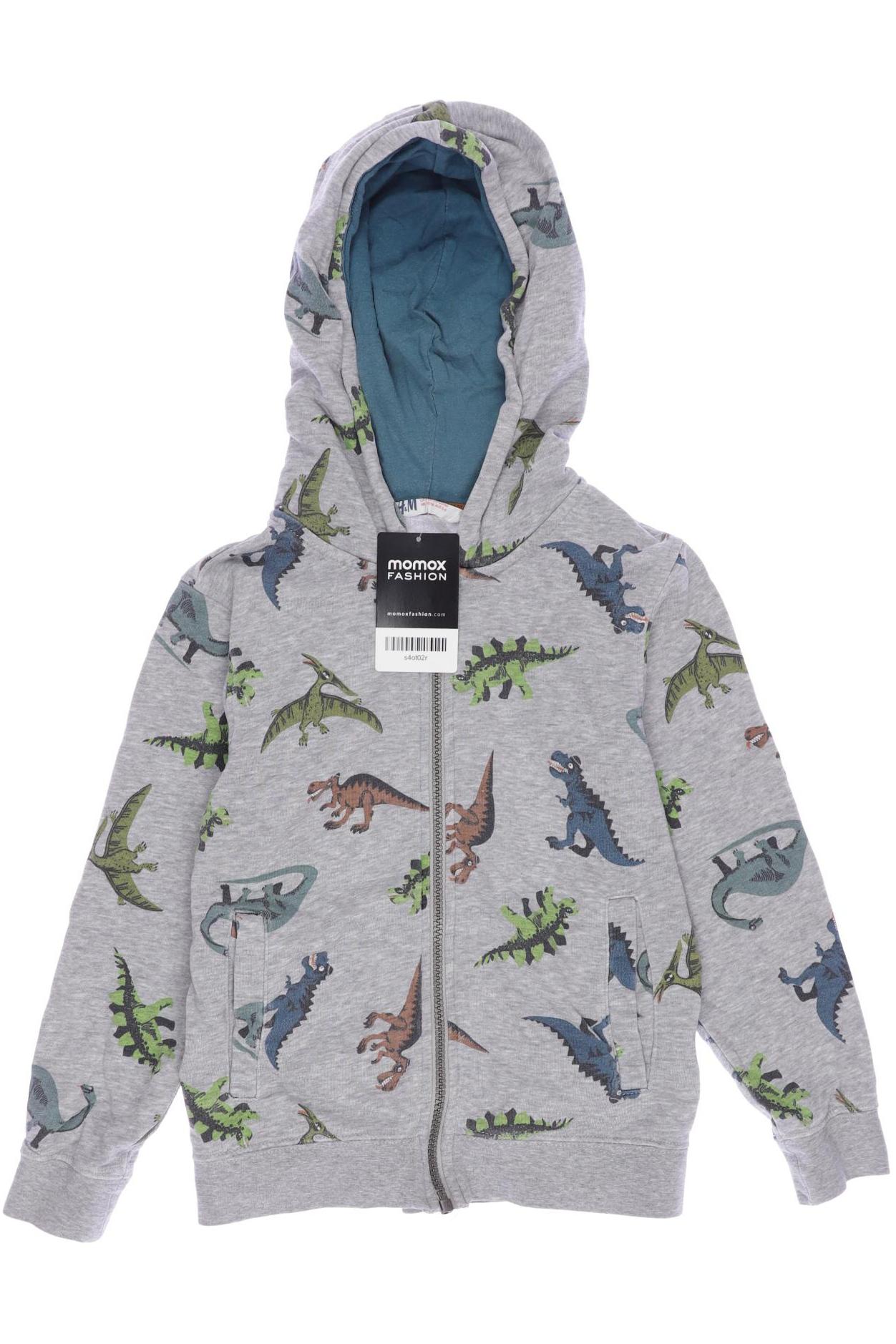 

H&M Herren Hoodies & Sweater, grau, Gr. 110