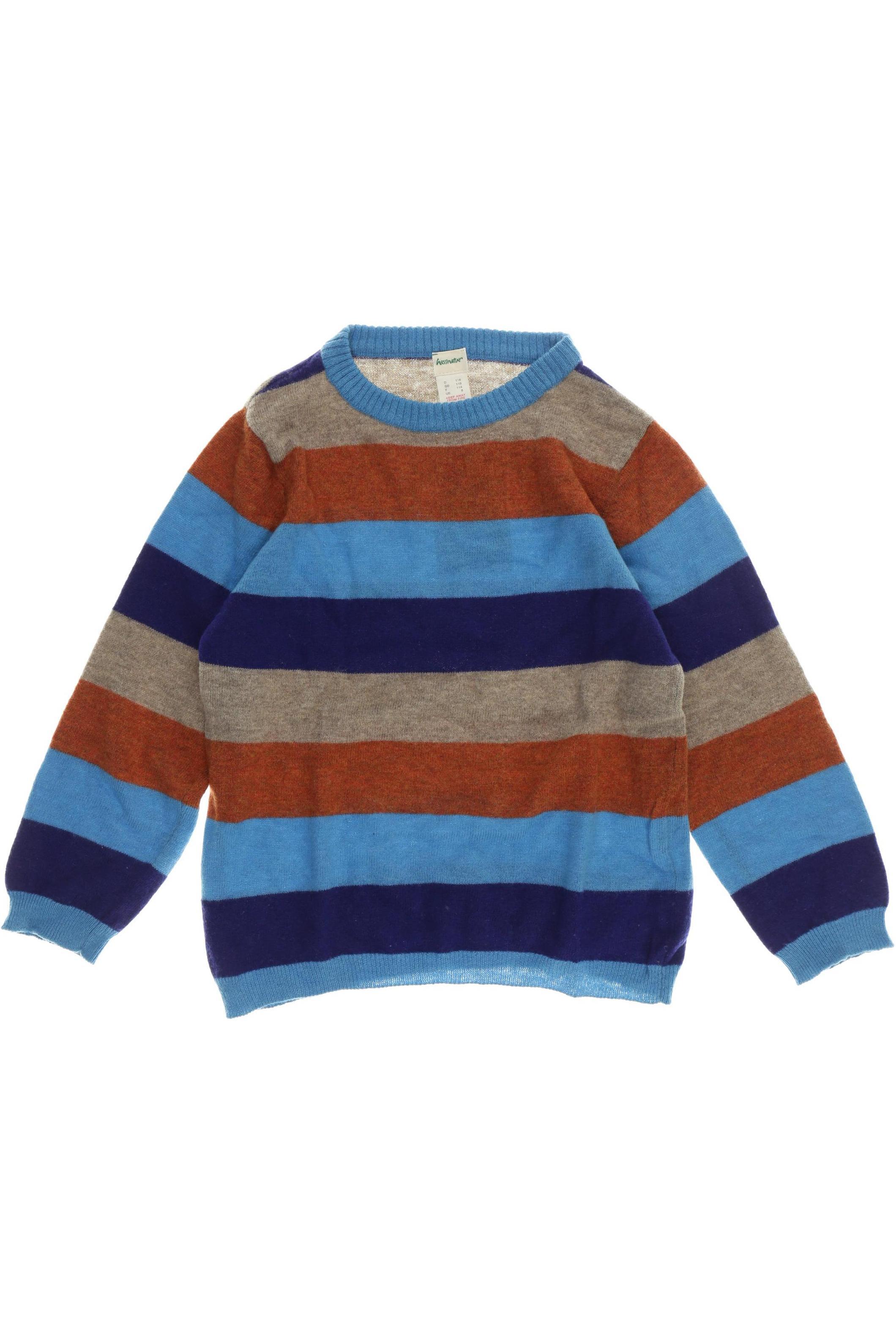 

hessnatur Jungen Pullover, mehrfarbig, Gr. 116