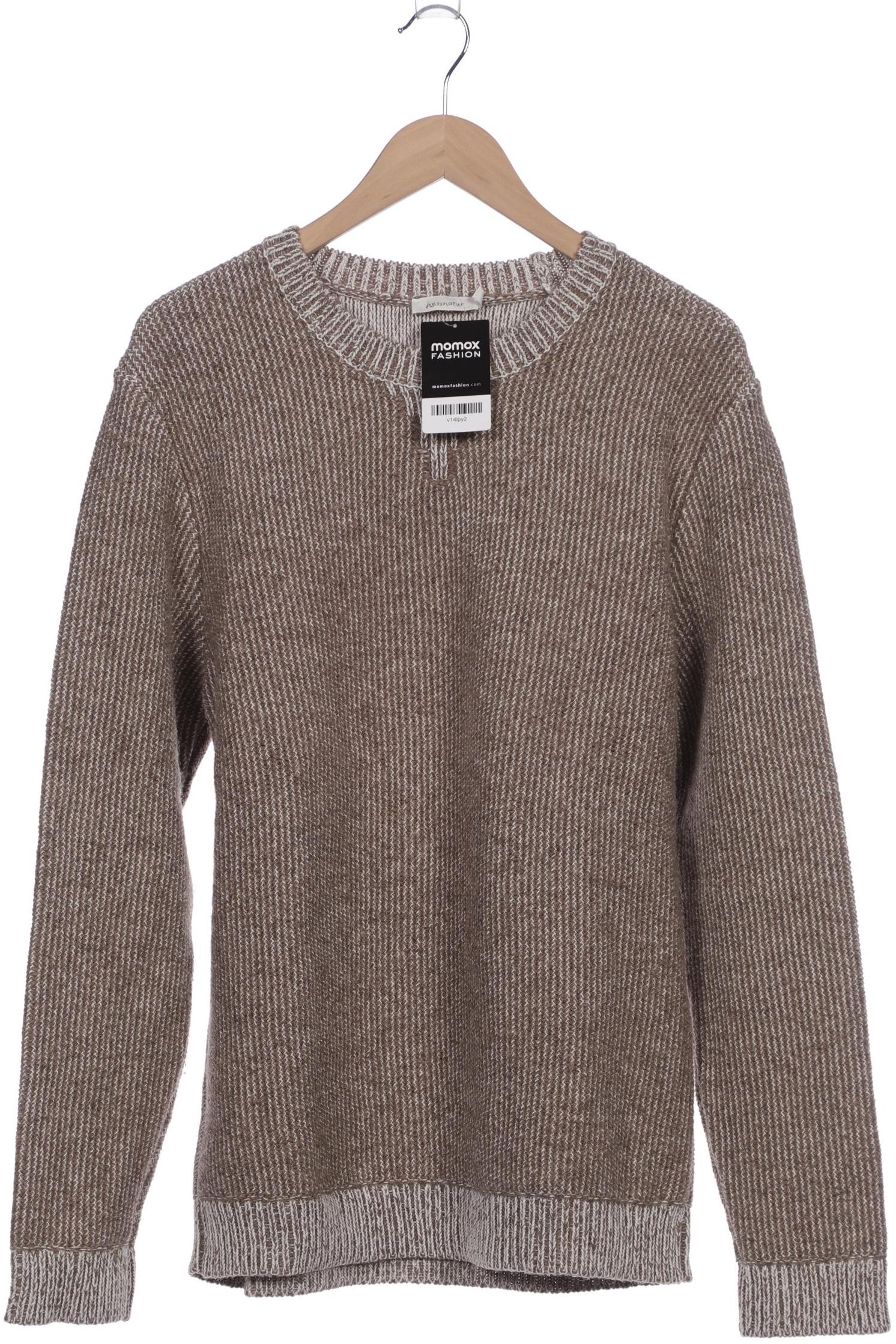 

hessnatur Herren Pullover, beige, Gr. 52