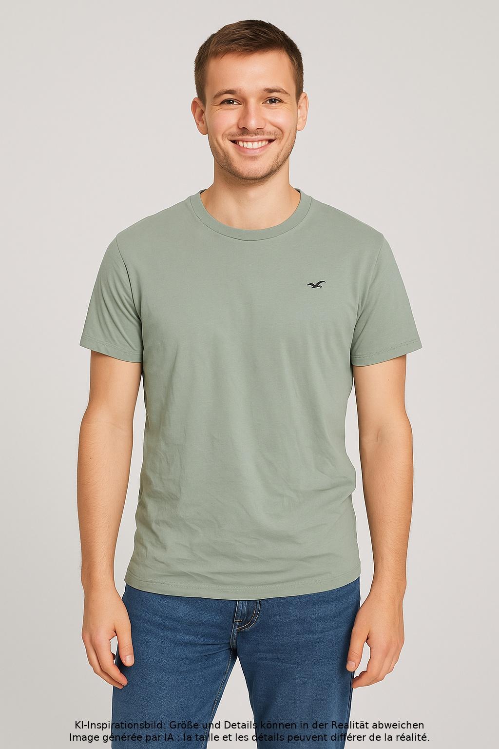 

Hollister Herren T-Shirt, hellgrün, Gr. 46