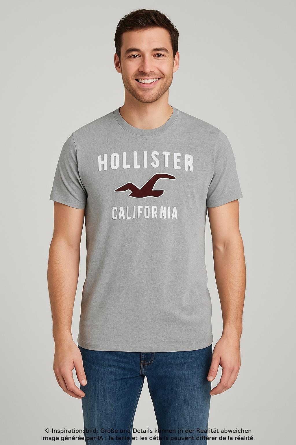 

Hollister Herren T-Shirt, grau, Gr. 52