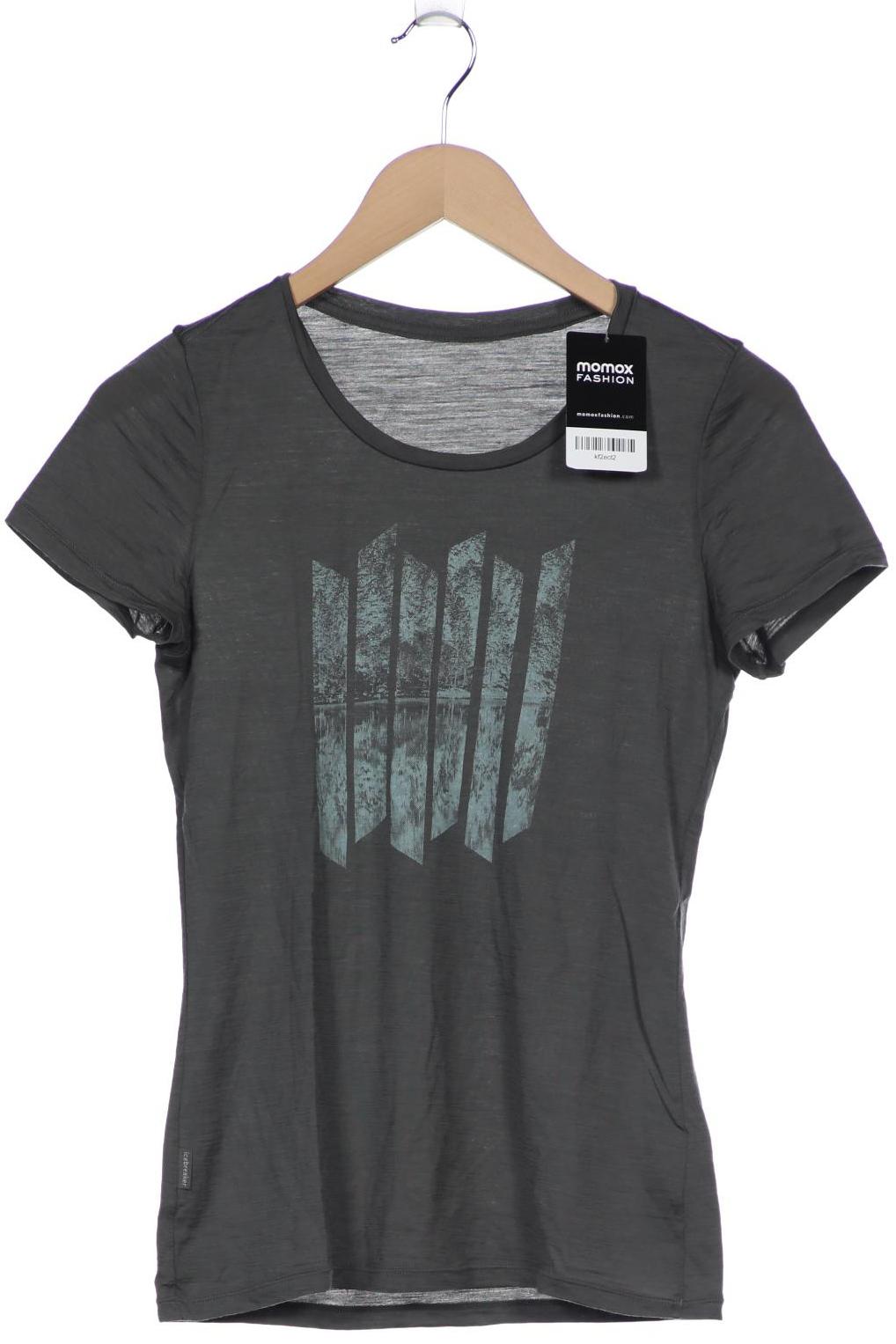 

Icebreaker Damen T-Shirt, grau