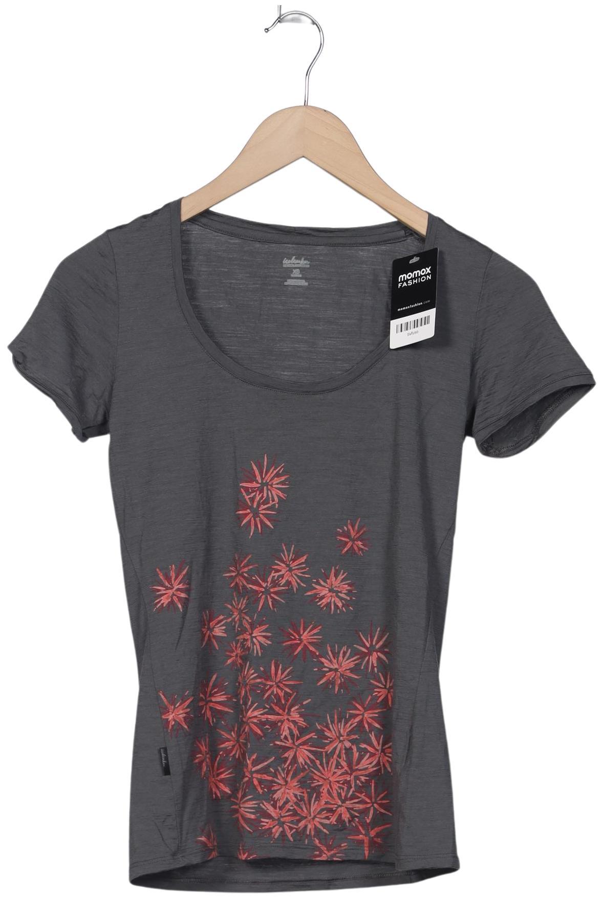 

Icebreaker Damen T-Shirt, grau, Gr. 34