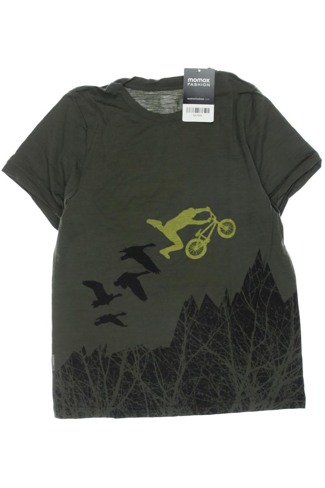 

Icebreaker Herren T-Shirt, grün, Gr. 152