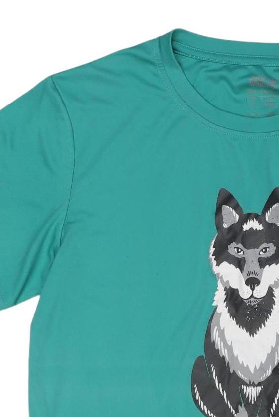 Thumbnail - Jack Wolfskin Jungen T-Shirt, türkis, Gr. 176