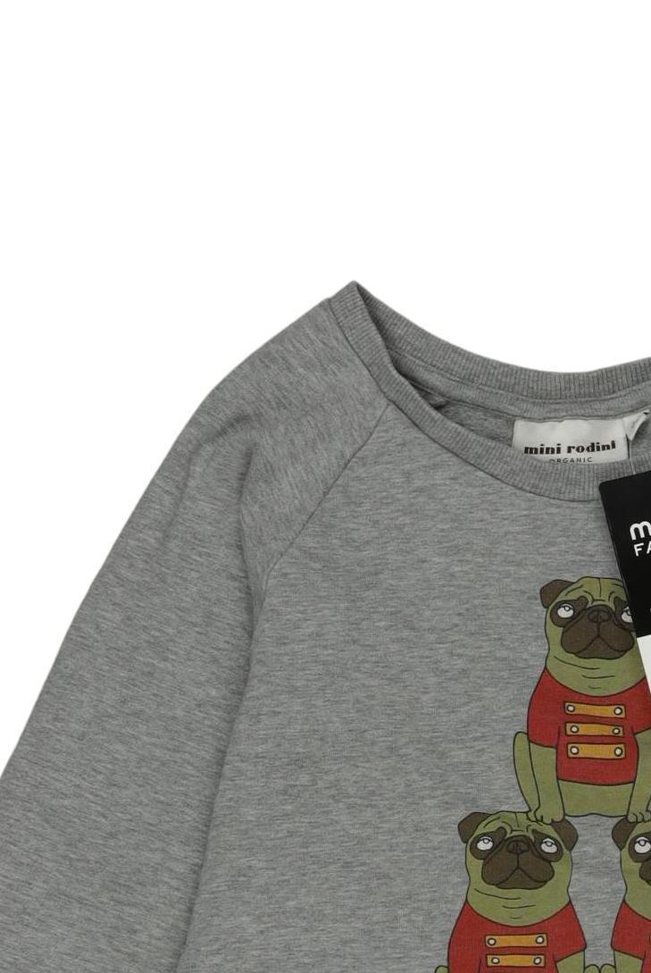 Thumbnail - mini rodini Jungen Hoodies &amp; Sweater, grau, Gr. 116