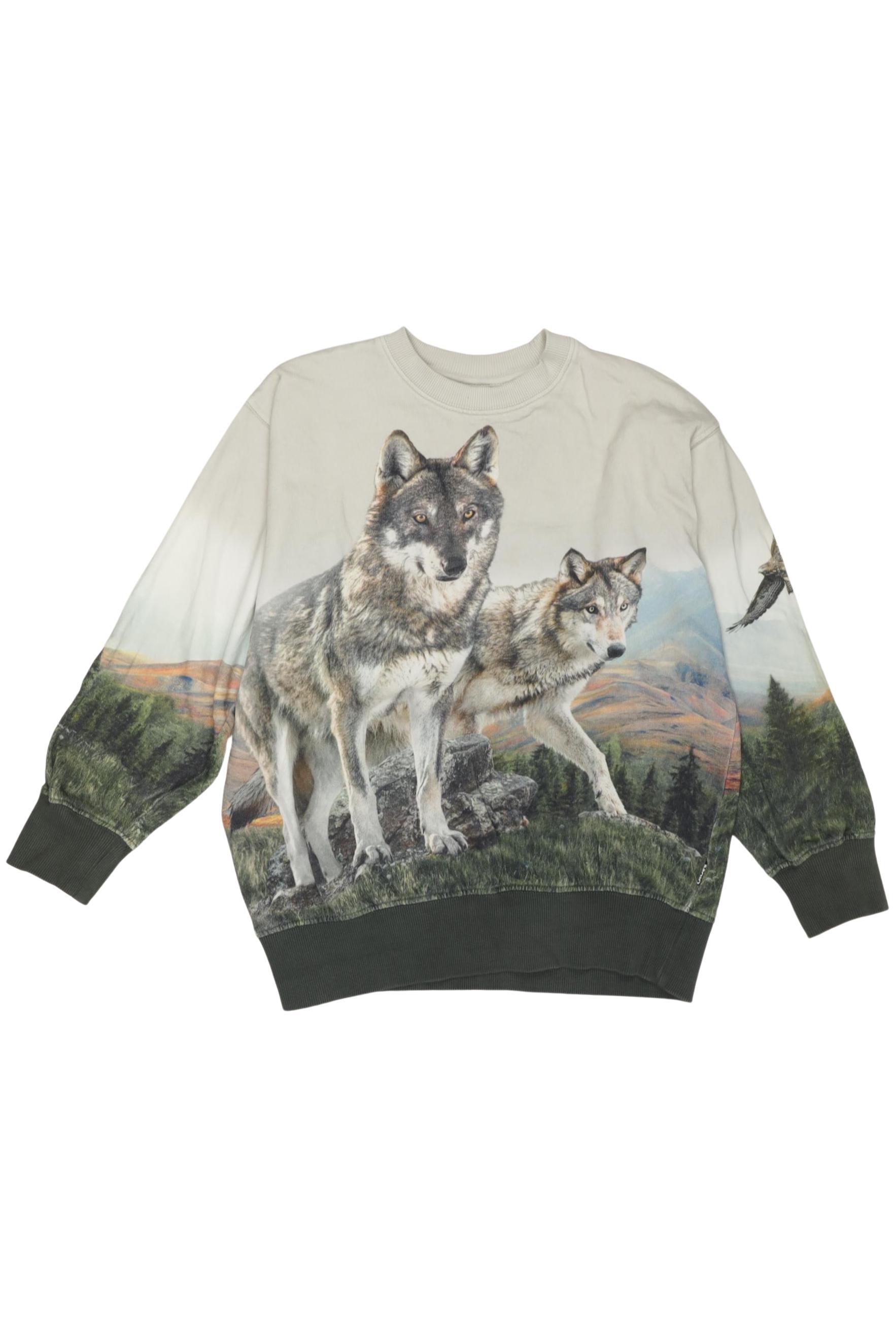 

molo Jungen Hoodies & Sweater, beige, Gr. 140