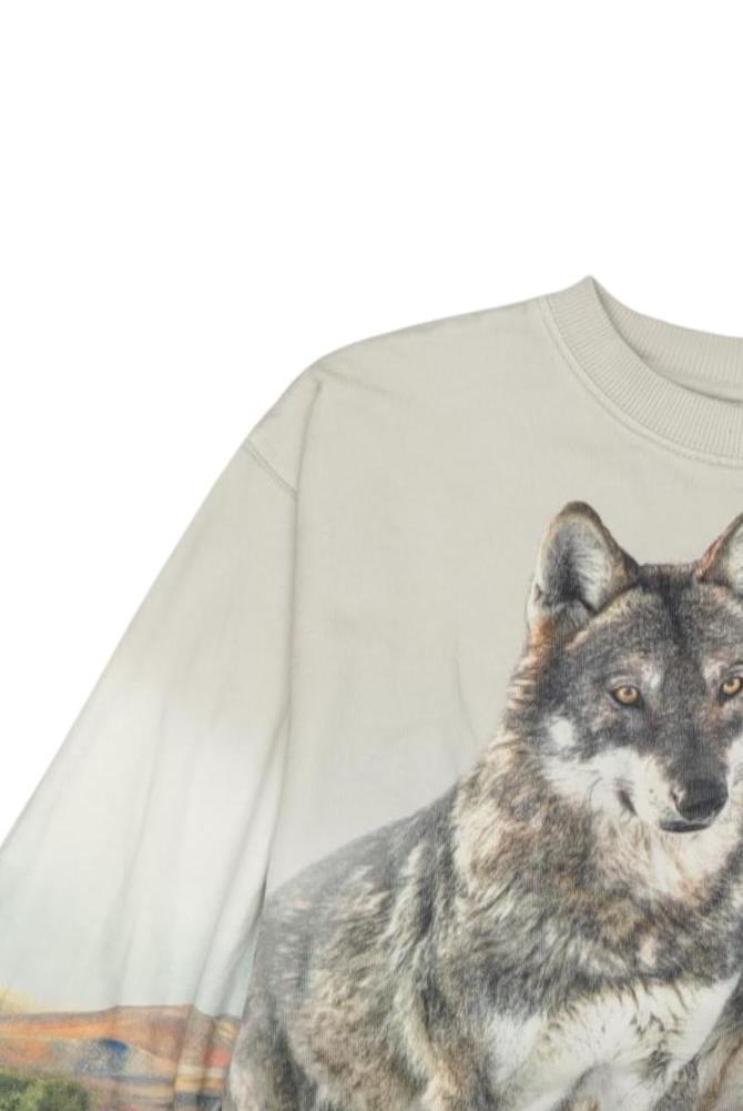 Thumbnail - molo Jungen Hoodies &amp; Sweater, beige, Gr. 140