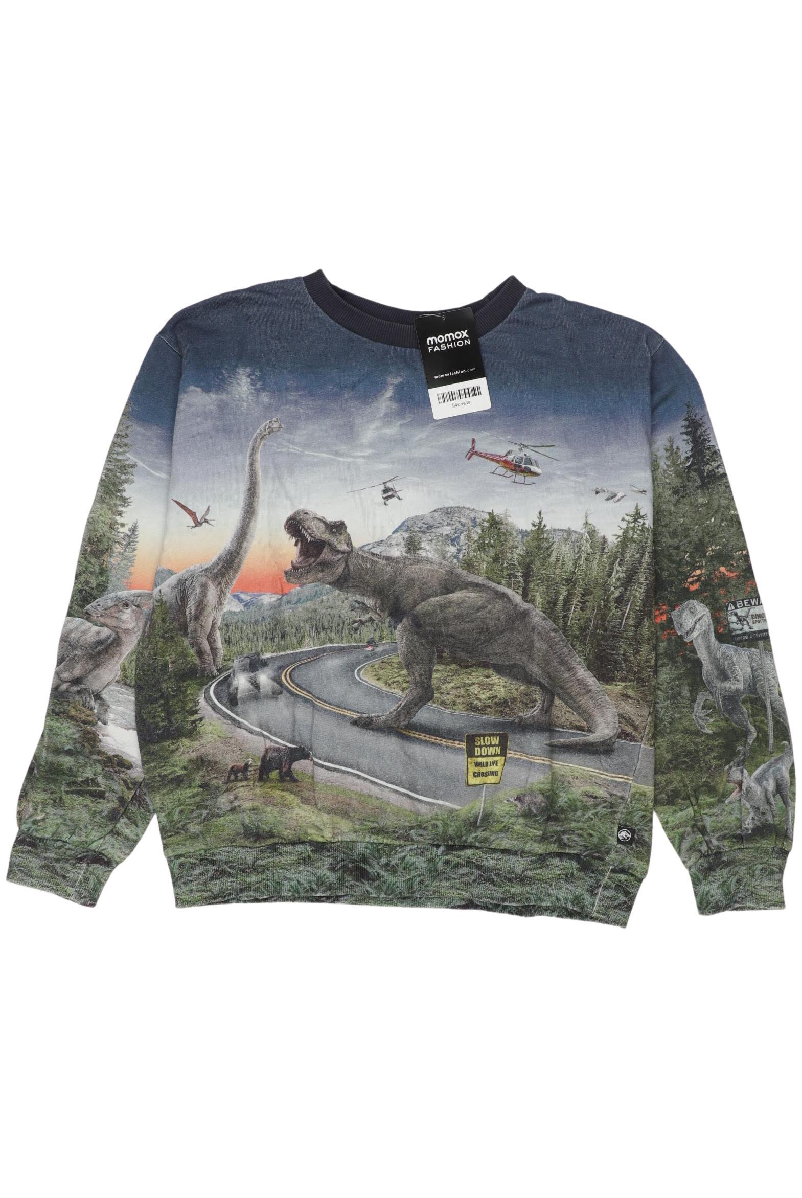 

molo Jungen Hoodies & Sweater, mehrfarbig, Gr. 152