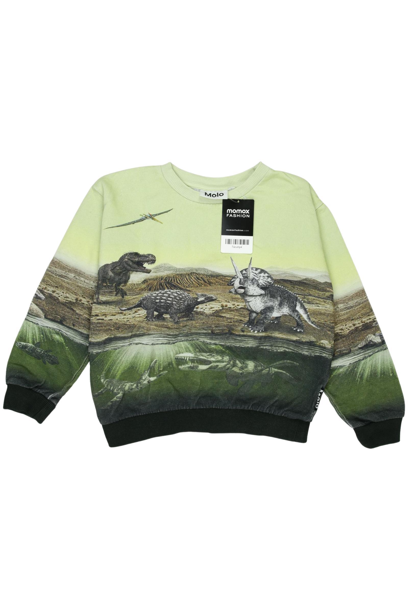 

molo Herren Hoodies & Sweater, hellgrün, Gr. 122