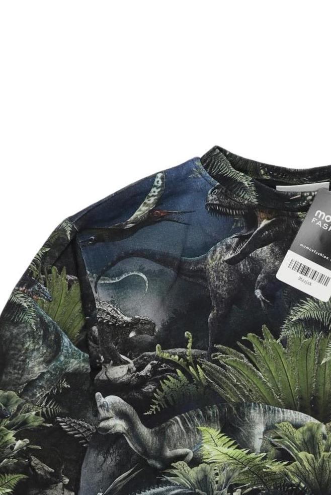 Thumbnail - molo Jungen Hoodies &amp; Sweater, mehrfarbig, Gr. 140