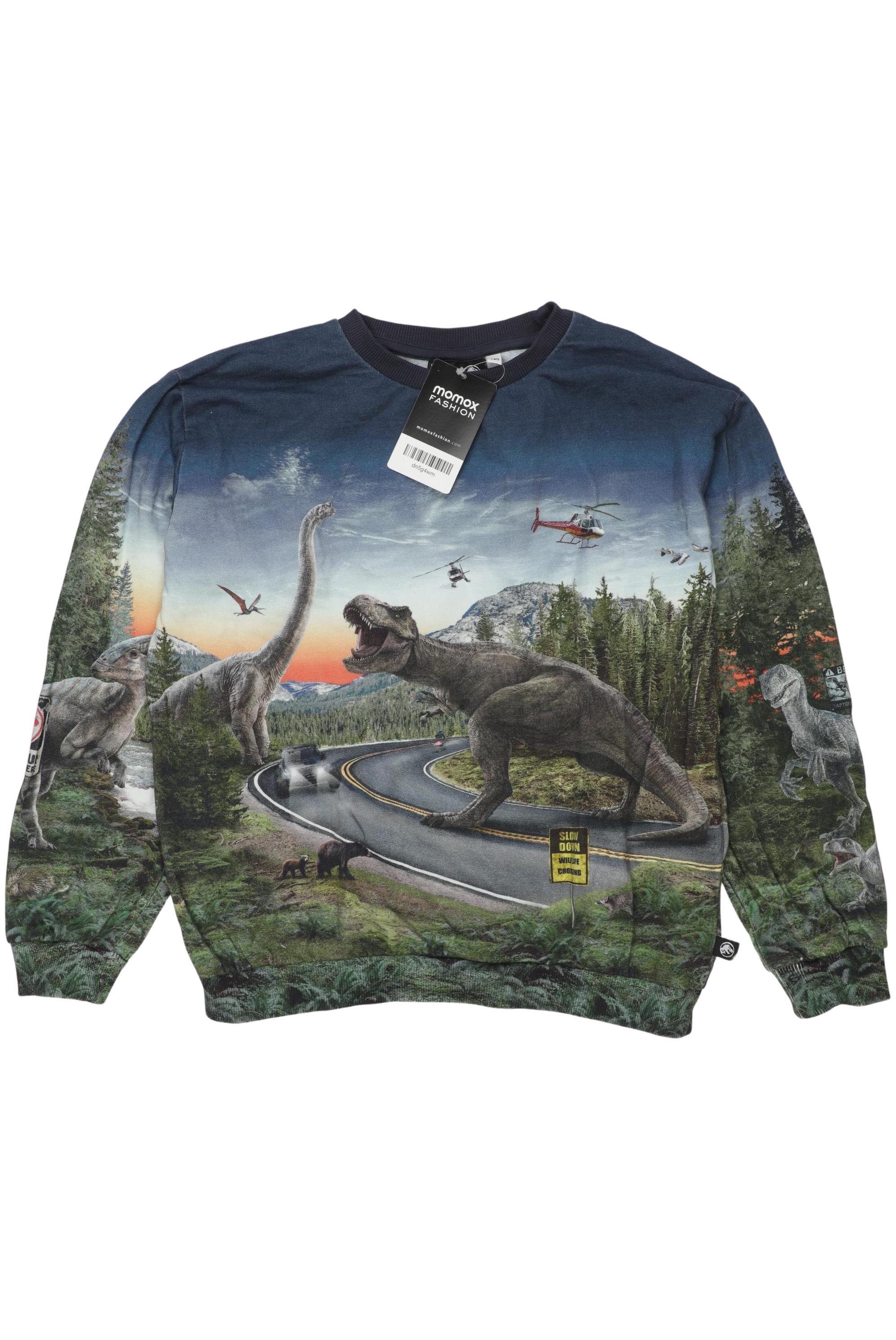 

molo Jungen Hoodies & Sweater, marineblau, Gr. 140