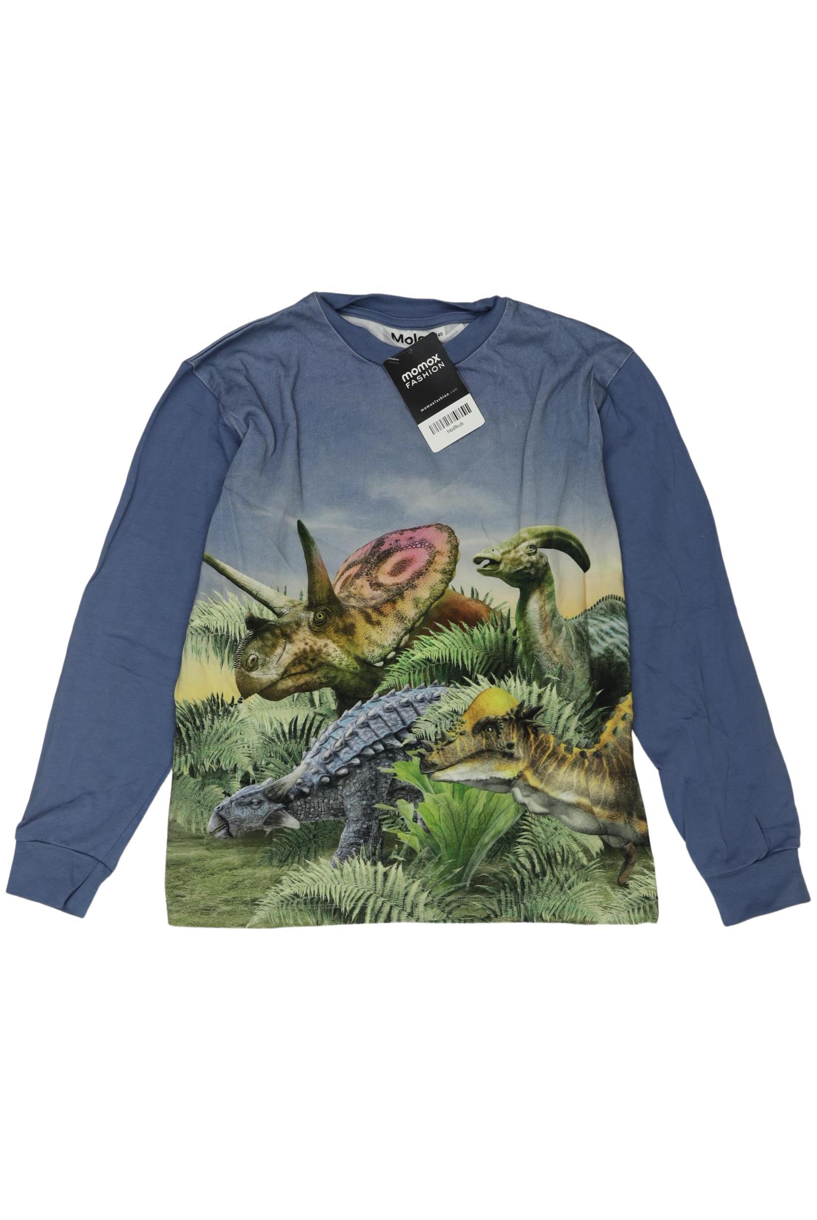 

molo Jungen Langarmshirt, hellblau, Gr. 140