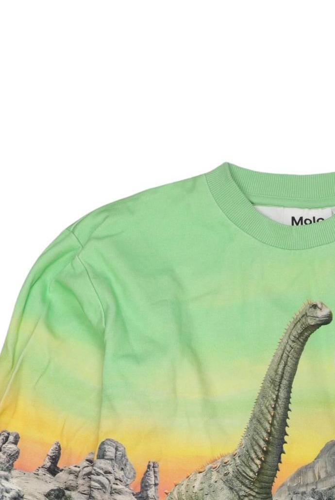 Thumbnail - molo Jungen Langarmshirt, hellgrün, Gr. 140