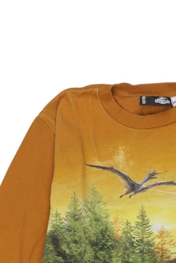 Thumbnail - molo Jungen Langarmshirt, orange, Gr. 116