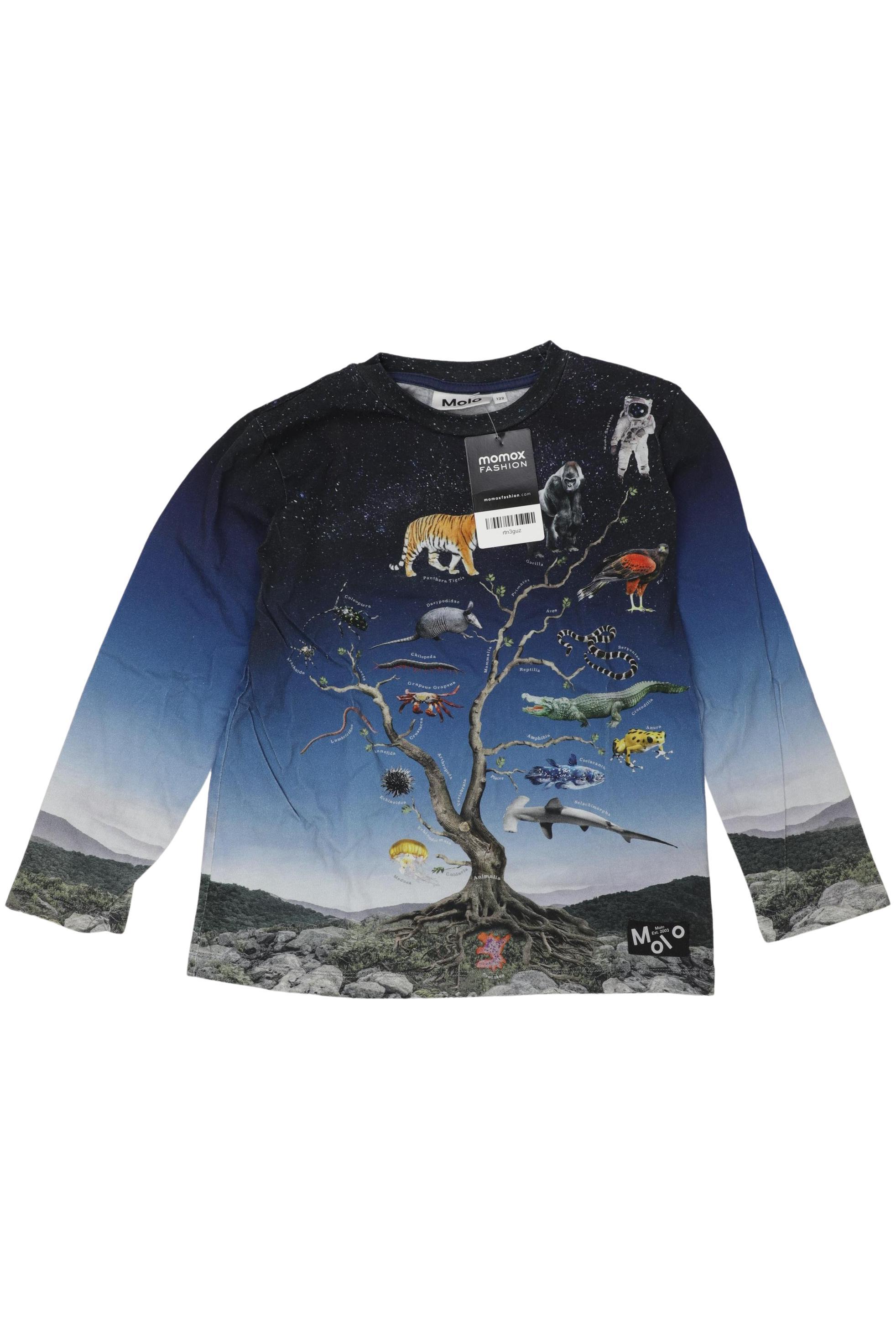 

molo Jungen Langarmshirt, hellblau, Gr. 122