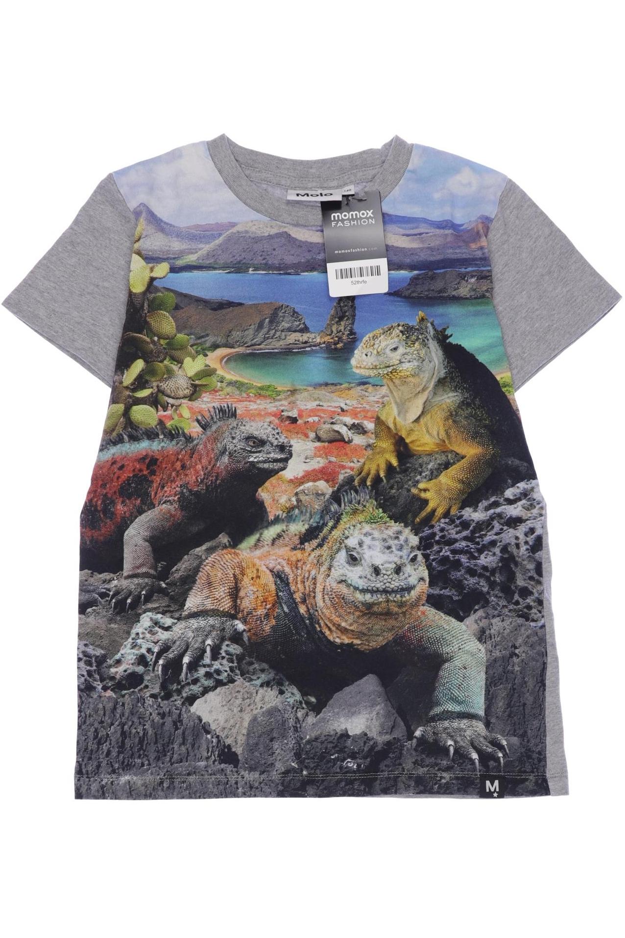 

molo Herren T-Shirt, grau, Gr. 140