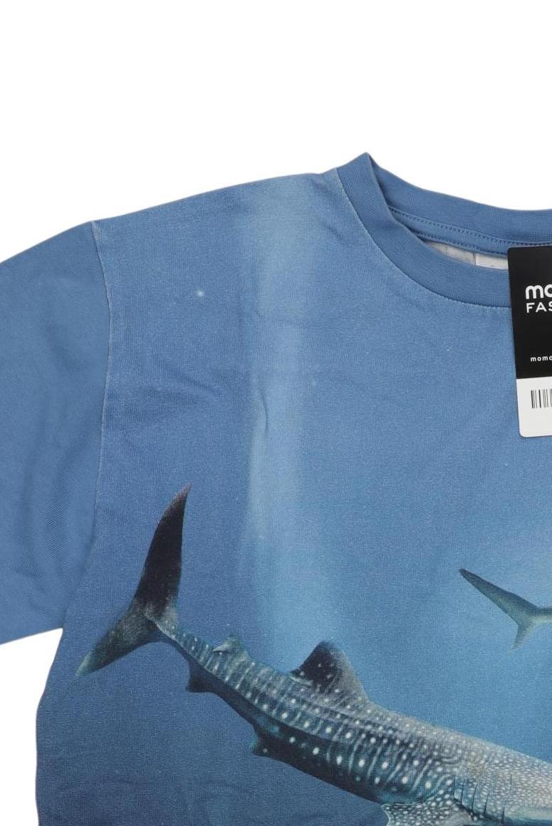 Thumbnail - molo Jungen T-Shirt, hellblau, Gr. 152