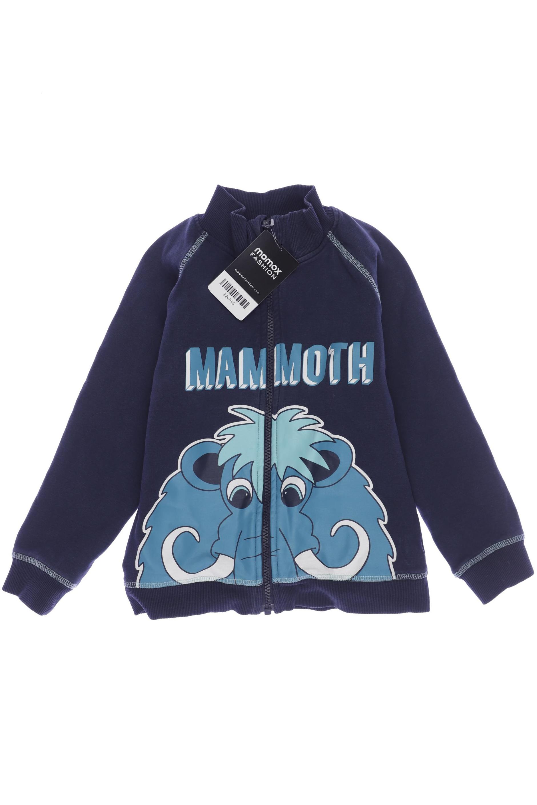 

name it Jungen Hoodies & Sweater, marineblau