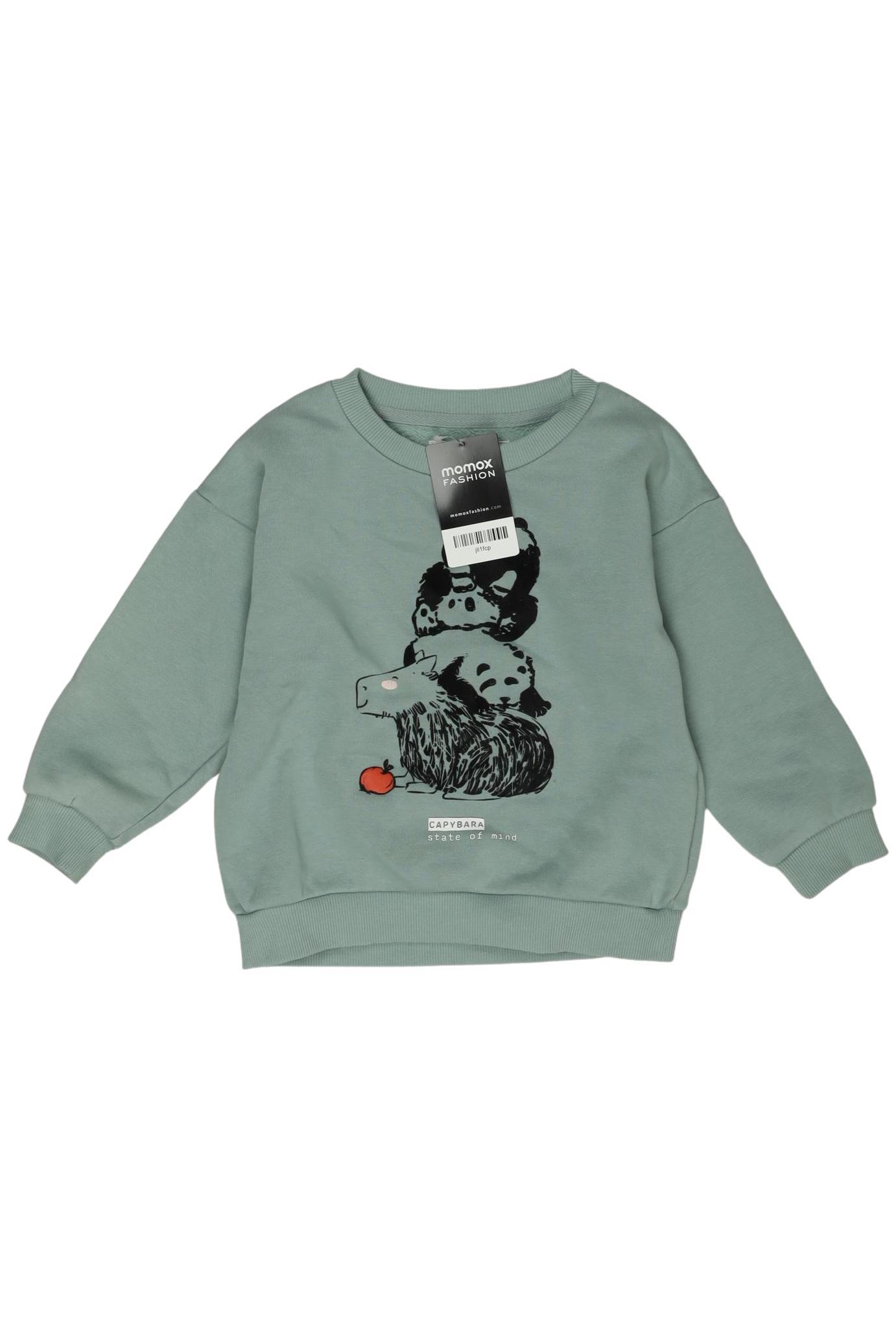 

Reserved Jungen Hoodies & Sweater, hellgrün, Gr. 110