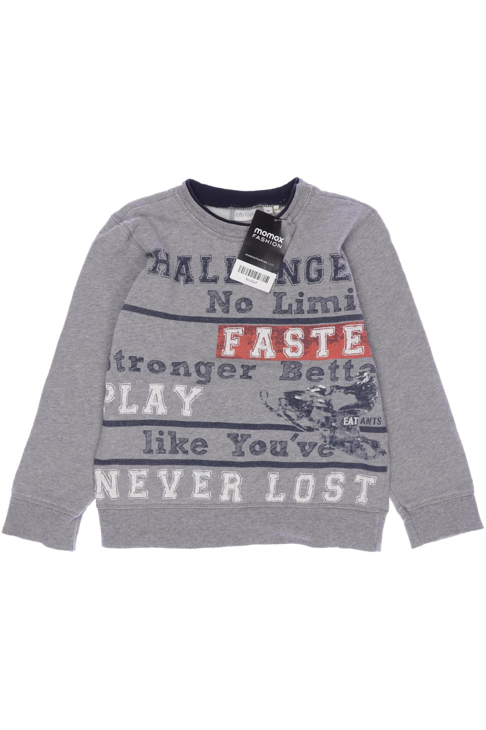 

Sanetta Jungen Hoodies & Sweater, grau