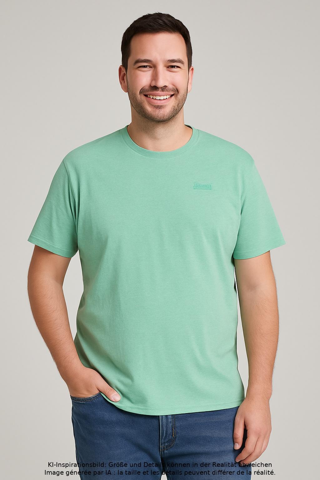 

Superdry Herren T-Shirt, hellgrün, Gr. 56