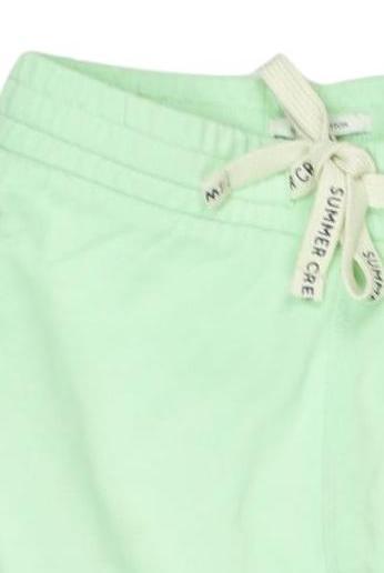 Thumbnail - Tom Tailor Jungen Shorts, hellgrün, Gr. 116