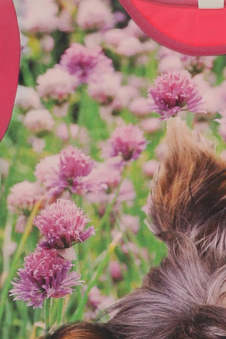 Thumbnail - Wild Mädchen T-Shirt, pink, Gr. 158